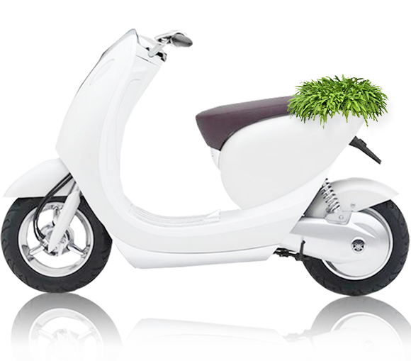 1586584207467878.png pt01.png